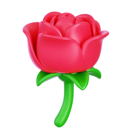 Flor rosa  3D Icon