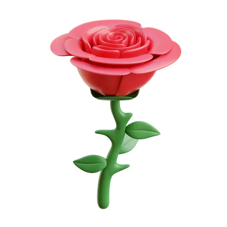 Flor rosa  3D Icon