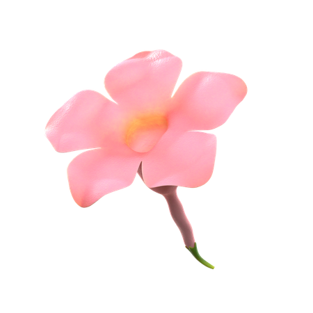 Flor rosa natural  3D Icon