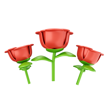 Flores rosas  3D Icon