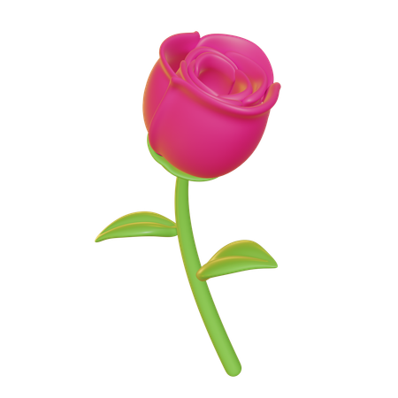 Rosa rosa  3D Icon