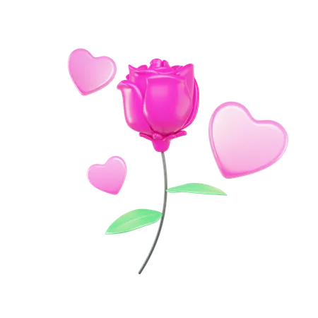 Pinke Rose  3D Icon