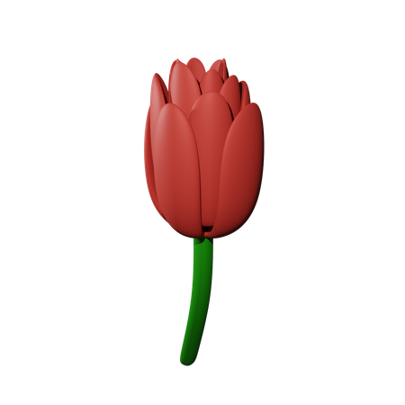 Rosas  3D Icon