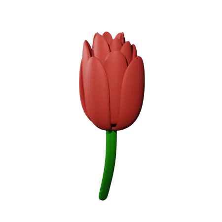 Rosas  3D Icon