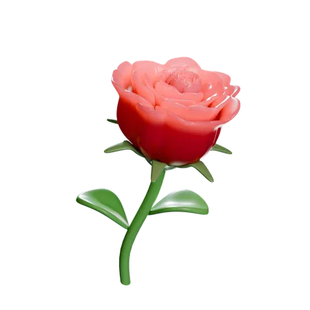 A Beautiful Rose High Resolution 3000 X 3000 Blend File PNG Transparent 3D Icon