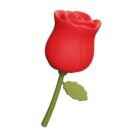 Rose  3D Icon