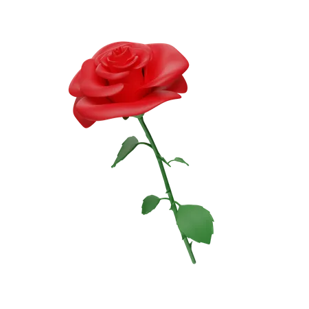 Rose  3D Icon