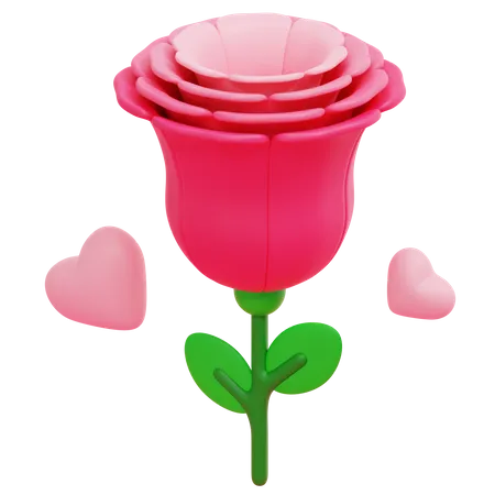 Rose  3D Icon