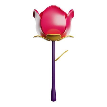 Rose  3D Icon