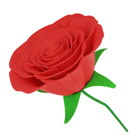 Rose  3D Icon