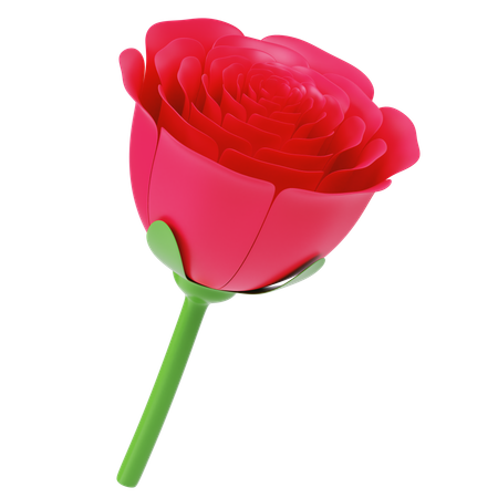 Rose  3D Icon