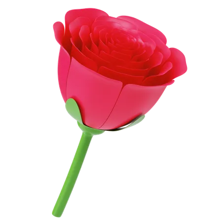 Rose  3D Icon