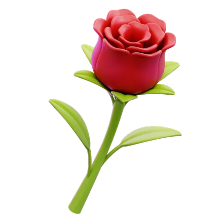 Rose  3D Icon