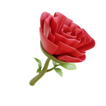 Rose  3D Icon