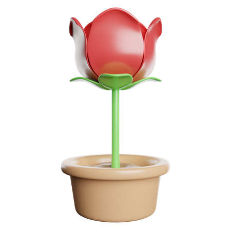 Rose  3D Icon