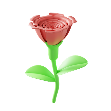 Rose  3D Illustration