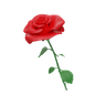 rose emoji 3d