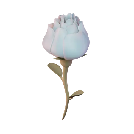 Rose 3D Illustration