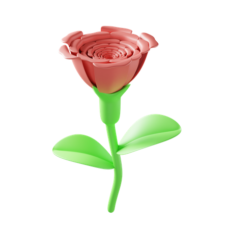 Rose 3D Illustration