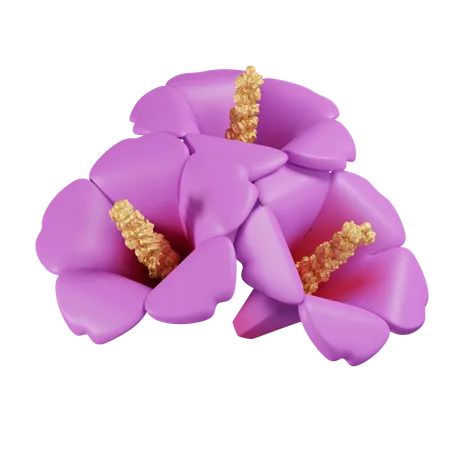 Rose de Sharon  3D Icon