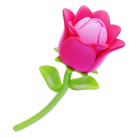 Rose Flower  3D Icon