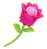 Rose Flower