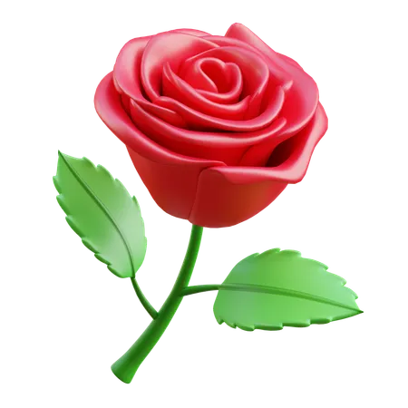 Rose Flower  3D Icon