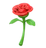 Rose Flower