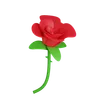 Rose Flower