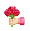 Rose Flower