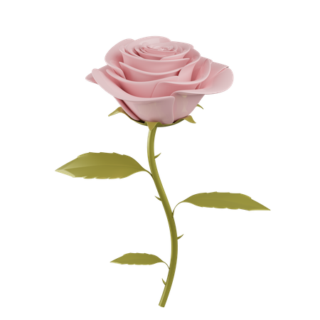 Rose flower 3D Illustration