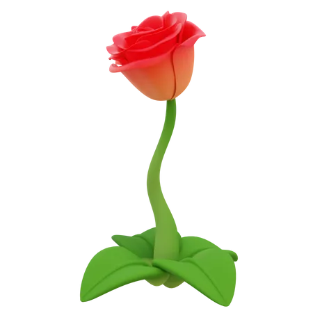 Rose Flower 3D Icon