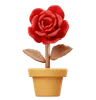 Rose Flower Pot