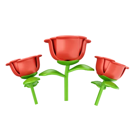 Rose Flowers  3D Icon