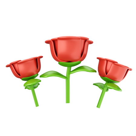 Rose Flowers  3D Icon