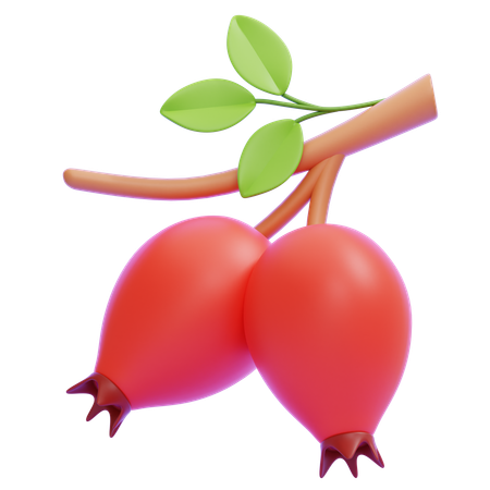 Rose Hip  3D Icon