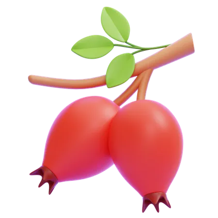 Rose Hip  3D Icon