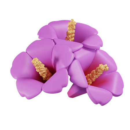 Rose of Sharon 3D Icon
