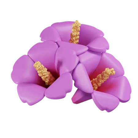 Rose of Sharon 3D Icon