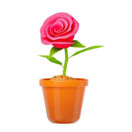 Rose Plant  3D Icon