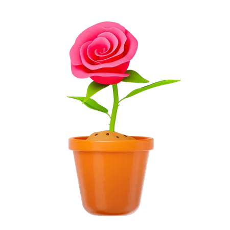 Rose Plant  3D Icon