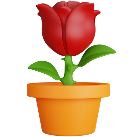 Rose Plant  3D Icon