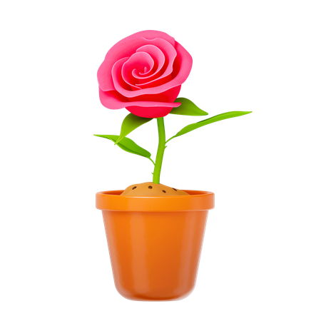 Rose Plant  3D Icon