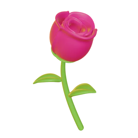 Rose rose  3D Icon