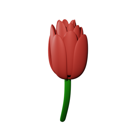 Rosen  3D Icon