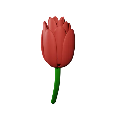 Roses  3D Icon
