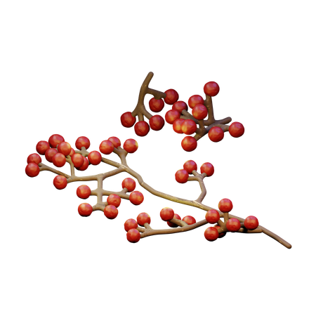 Rote Beeren  3D Icon