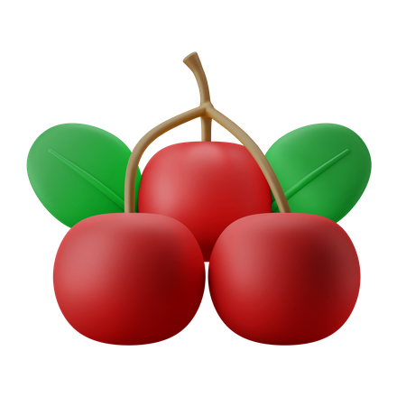 Rote Beeren  3D Icon