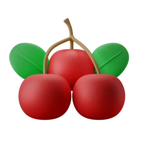 Rote Beeren  3D Icon