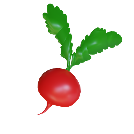 Rote Rübe  3D Icon